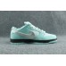 Tiffany & Co. X Nike Dunk Low BV1310-402