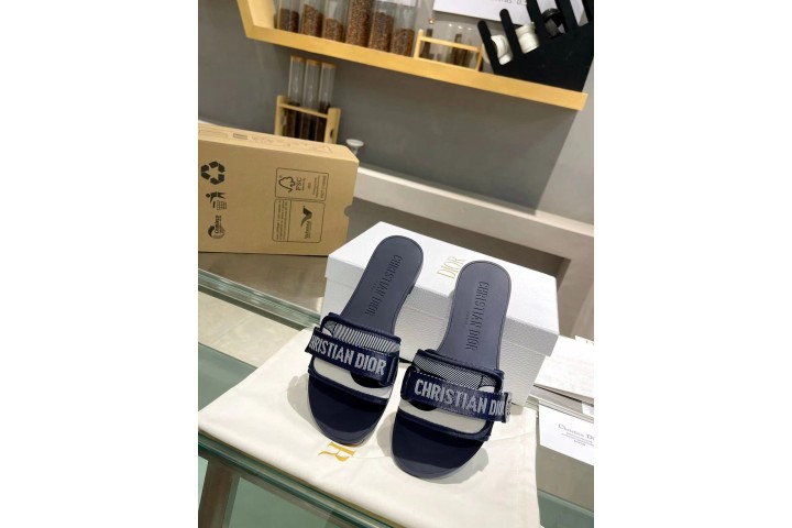 Dior Dway Slide Blue