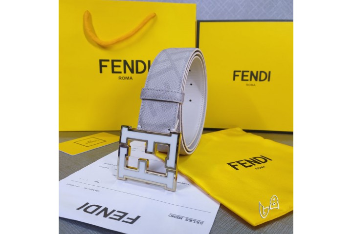 Fendi Belt FF Buckle Grey