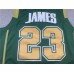 James Irish basketball jersey 23 Green