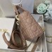 Lady Dior Rose Des Vents Cannage Lambskin