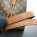 Louis Vuitton NeoNoe Monogram Safran