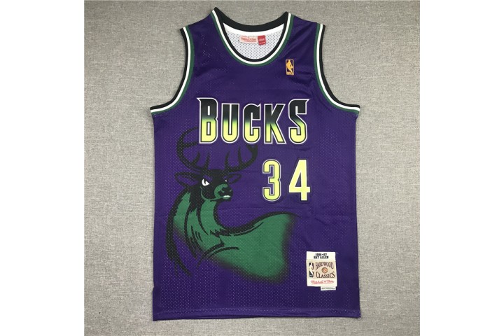 Milwaukee Bucks Ray Allen Hardwood Classics Jersey 34 Purple