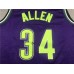 Milwaukee Bucks Ray Allen Hardwood Classics Jersey 34 Purple