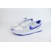 Nike Dunk Low Worldwide White Blue