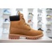 Timberland 6 Premium Waterproof Boot Wheat