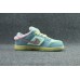 Verdy x Nike SB Dunk Low Visty